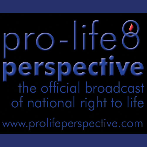 Today on Pro-Life Perspective: The Pro-Abortion Case for Ultrasound